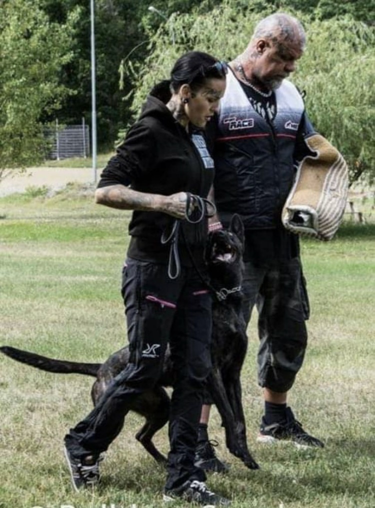 Hund